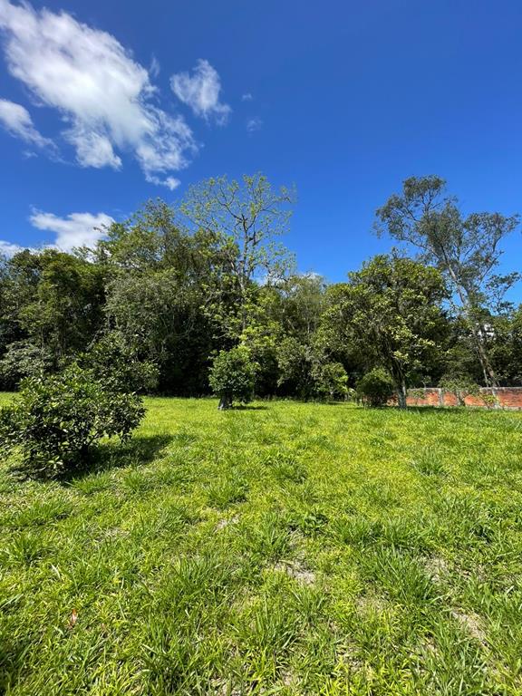 Fotos do imóvel - IM17951