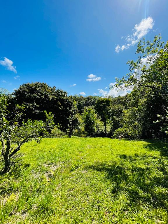 Fotos do imóvel - IM17951