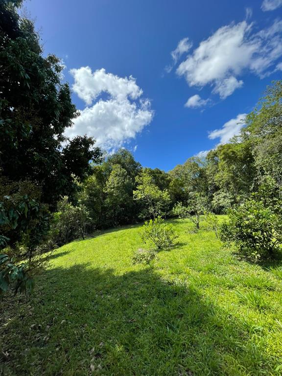 Fotos do imóvel - IM17951