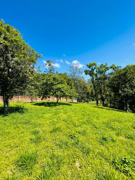 Fotos do imóvel - IM17951