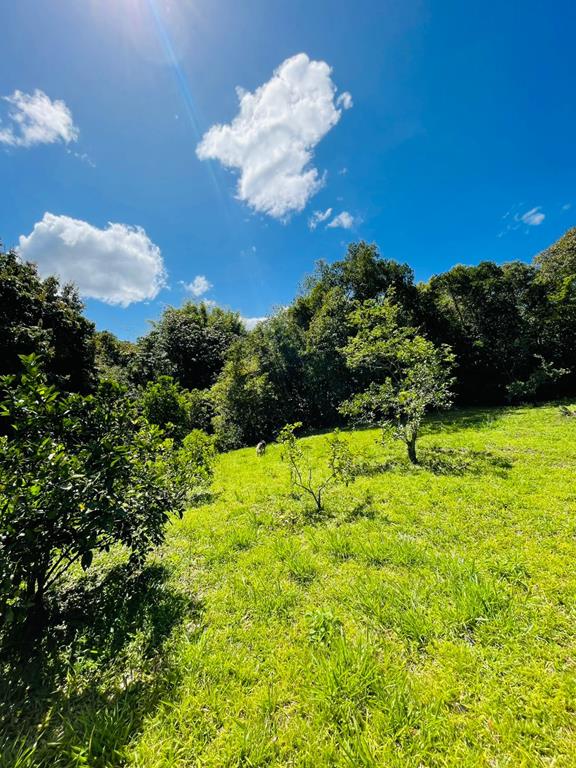 Fotos do imóvel - IM17951