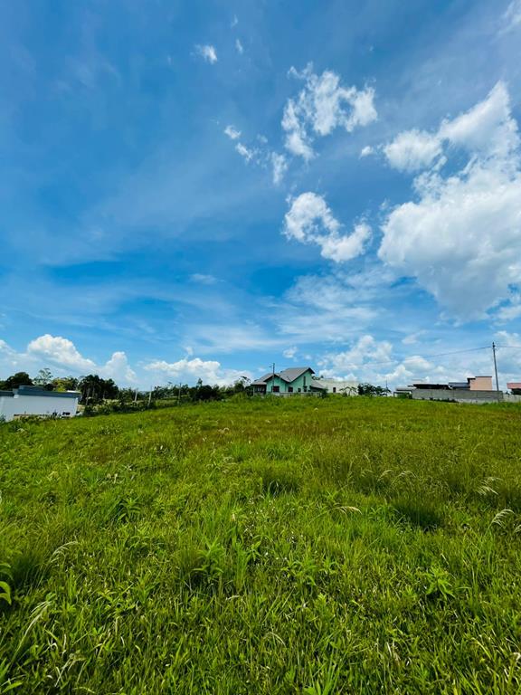 Fotos do imóvel - IM17953