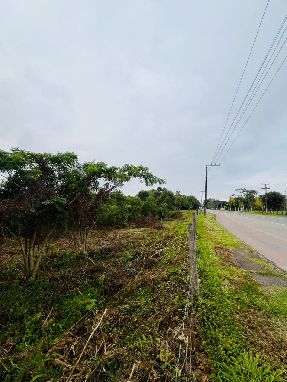 Fotos do imóvel - IM17971