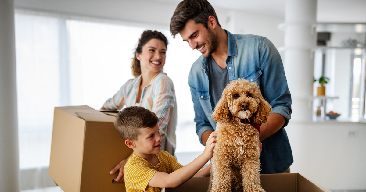 Goes Empreendimentos Imobiliarios e Cobrancas de Titulos Ltda.